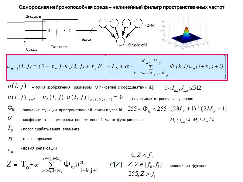 Однородная нейроноподобная среда – нелинейный фильтр пространственных частот  – точка изображения  размером